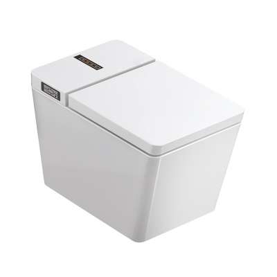 Ceramic Electric Toilet For Women